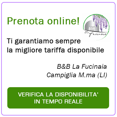 PRENOTAZIONE B&B La Fucinaia